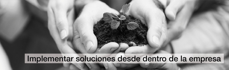 Francisco Cervantes Consultor Financiero