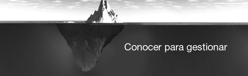 Francisco Cervantes Consultor Financiero